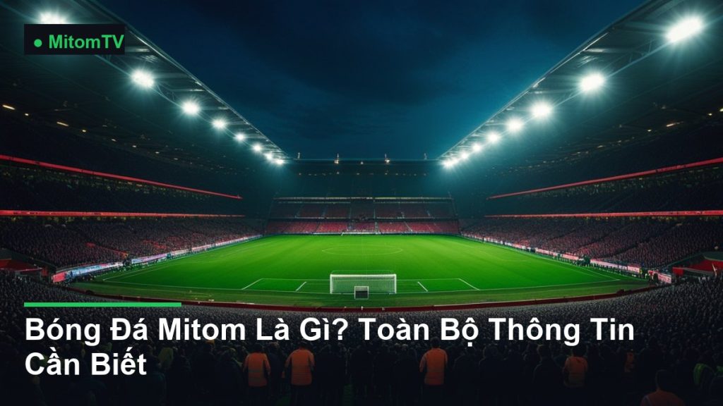 sân vận động bóng đá về đêm dưới ánh đèn pha - Bóng Đá Mitom Là Gì? Toàn Bộ Thông Tin Cần Biết