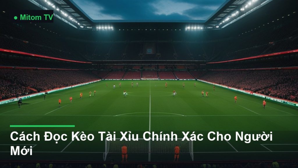 toàn cảnh sân vận động trong một trận đấu - Cách Đọc Kèo Tài Xỉu Chính Xác Cho Người Mới