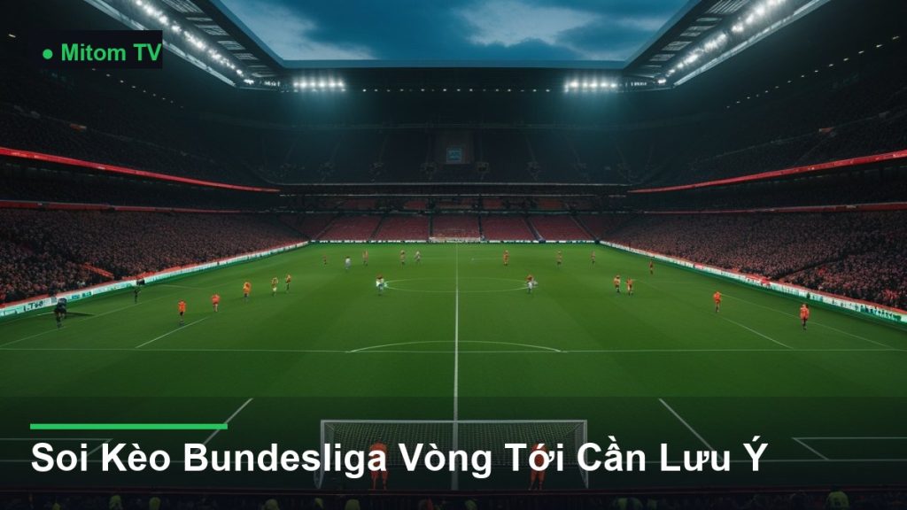 toàn cảnh sân vận động trong một trận đấu - Soi Kèo Bundesliga Vòng Tới Cần Lưu Ý